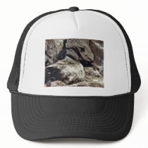 Cormorants Trucker Hats