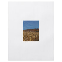 Corn and Blue Sky moon Personalized Flyer
