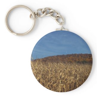 Corn and Blue Sky moon keychain