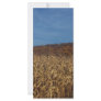 Corn and Blue Sky moon Rack Card Design