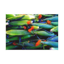 corn canvas prints
