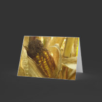Corn close up Greetingcard cards