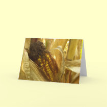 Corn close up Greetingcard