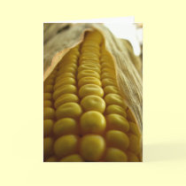 Corn close up Greetingcard