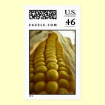 Corn close up postage postage