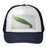Corn cob mesh hats