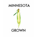 corn cob, MINNESOTA, GROWN t-shirts