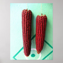 Corn cob poster