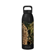 Corn Cob Reusable Water Bottle