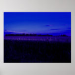 Corn Field at Night posters
