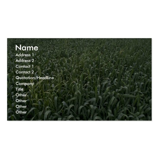 Corn field business card template