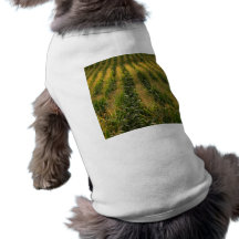 Corn field dog clothing