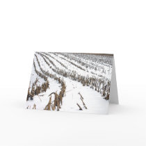 Corn Field In The Snow Greeting Card