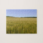 Corn Field Jigsaw Puzzle