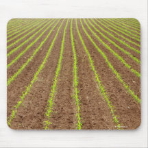 Corn field mousepads
