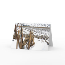 Corn Field Poetry Greeting Card