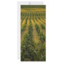 Corn field rack card template
