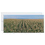 Corn field rack card template