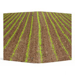 Corn field vinyl binder