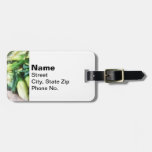 Corn For Sale Travel Bag Tags