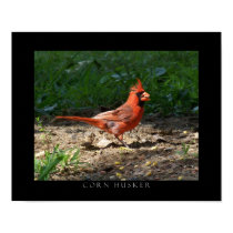 Corn Husker (Cardinal) Fine Art Print