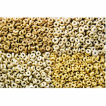 Corn Oats Rice Wheat Cereal Rings Composed In Squa photo sculptures by lifesphere Corn Oats Rice Wheat Cereal Rings Composed In Squa photo sculptures