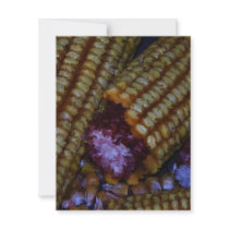 Corn on the Cob Art Announcements