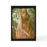 Corn On The Cob cards