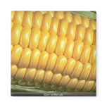 Corn on the cob refrigerator magnet