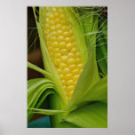 Corn on the cob posters