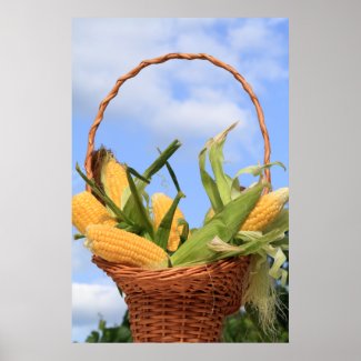 Corn on the Cob Poster print