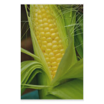 Corn on the cob stationery by JeffreySinnock Corn on the cob stationery