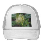 Corn on the Cob Trucker Hat