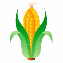 Corn Photo Cutout