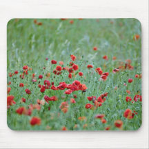 Corn poppies (Papaver Rhoeas)  flowers Mousepad
