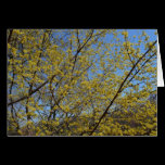 Cornelian Cherry Dogwood and Blue Sky Card