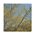 Cornelian Cherry Dogwood and Blue Sky Magnet