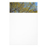 Cornelian Cherry Dogwood and Blue Sky Stationery