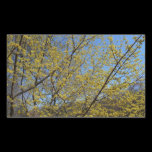 Cornelian Cherry Dogwood and Blue Sky Sticker