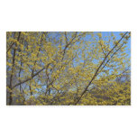 Cornelian Cherry Dogwood and Blue Sky Sticker