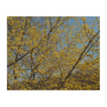 Cornelian Cherry Dogwood and Blue Sky Wood Wall Decor