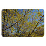Cornelian Cherry Dogwood Flexible Magnet