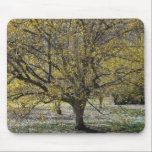 Cornelian Cherry Dogwood Mousepad