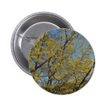 Cornelian Cherry Dogwood Tree Button