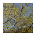 Cornelian Cherry Dogwood Tree Tile