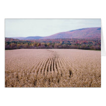 Cornfield/Foliage cards by Merritt_B Cornfield/Foliage cards