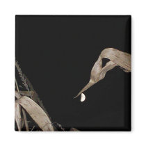 Cornfield in Moonlight magnets