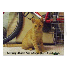 Cornflake Notecard