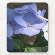 cornflower blues mousepads