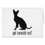 Cornish Rex Cat Greeting Cards